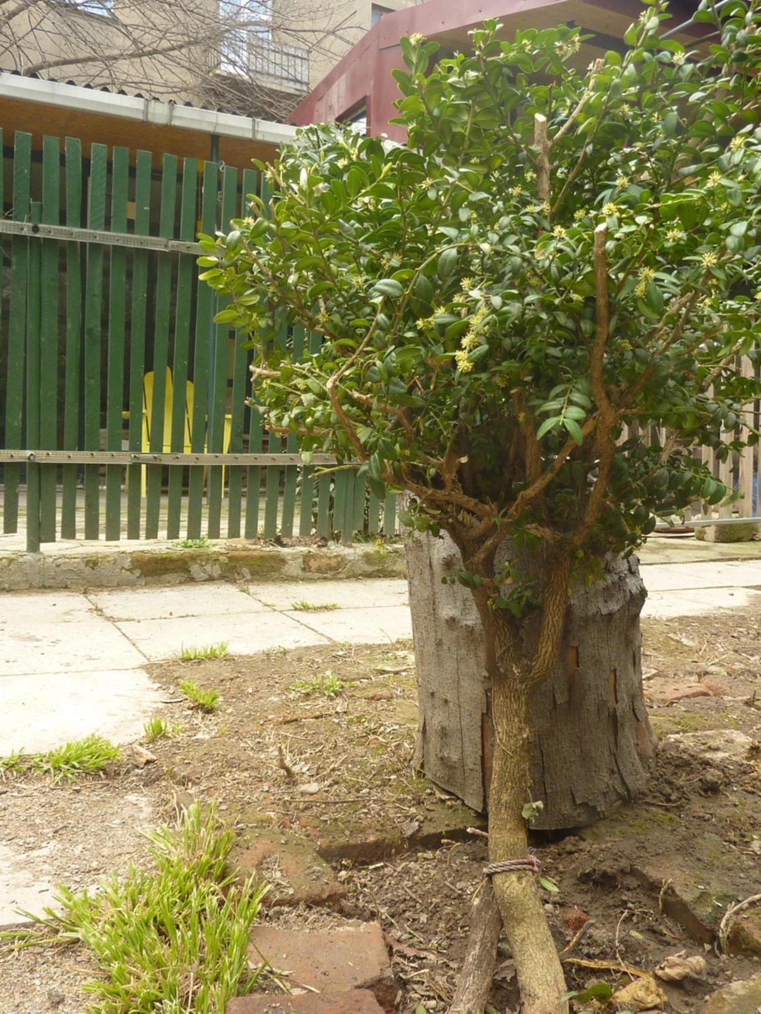Hotel Gardens In Vake, Tiflis Exterior foto